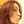 Aline Dressler Ieck