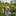 Dipha_dhip Dipha_dhip