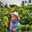 Dipha_dhip