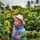 Dipha_dhip Dipha_dhip