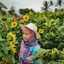 Dipha_dhip