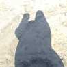 Rasalhaq 