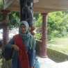 Novi Novi