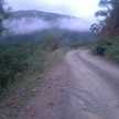 jose alagal