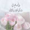 على ابو طالب