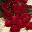Om_osamah222 