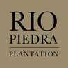 Rio Piedra Plantation