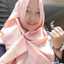 Arini sagita