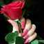 Santy lifsan
