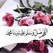 زهرة زهور