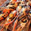 กุ้งนาง