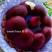 🍓🇩🇿Sweet Fresa🍓