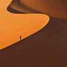 عهود عهود