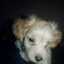 Facundo Ezequielll