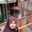 Fitriyanti Wiyono