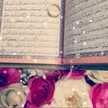 Suzan Qasem