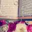 Suzan Qasem
