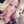 Rasha-Jacob