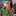 Meghna Joshi