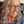 Liane Knecht
