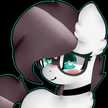 Betzi