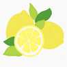 Lemontree's Test Kitchen Lemontree's Test Kitchen