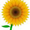 Lil Sunflower Lil Sunflower