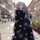 Rose Hashim Rose Hashim