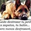 Martha Cris Martin