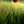  پرنیا🦋