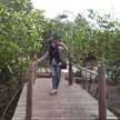 Rupitamayangsari