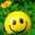 M.Talal 