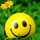 M.Talal 