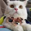 Suwapee Mon