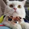 Suwapee Mon
