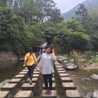 hang phung
