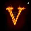 Vasquito 03