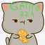 gatito 321