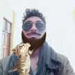 Alviin