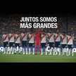 Guille Carp