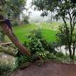 rayhantanggabosirayhan227@gmail.com