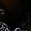 Rooz Yehya