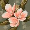 Pawon Asry 