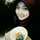 amel amel