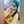 Shiwani