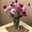 sareh