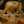 🌻
