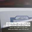 وردة البنفسج🌷