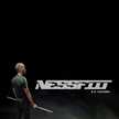 nessfiit_coaching