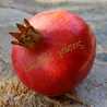 Pomegranate